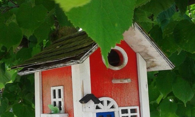Worms House | Ferienwohnung Holl