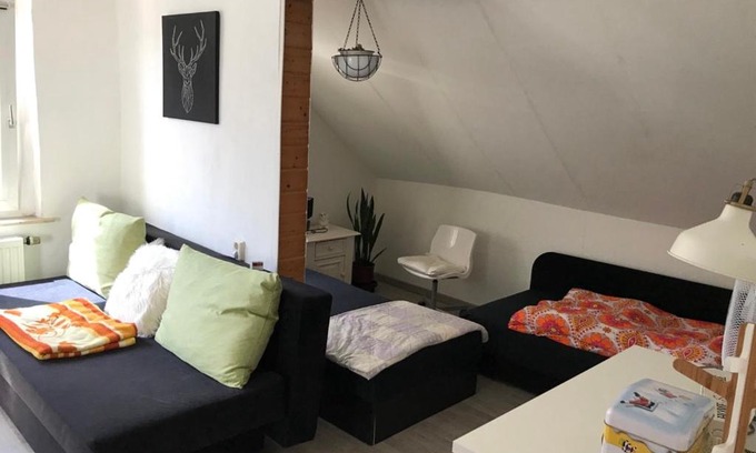 Oberplanitz Apartment | Ferienwohnung im Einfamilienhaus, Automobil und Robert Schumann Stadt Zwickau
