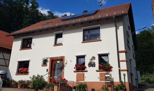 Blankenborn Apartment | Ferienwohnung Lang