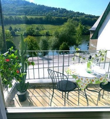Merl Apartment | Ferienwohnung Moselblick Zell - Balkon und Gemeinschaftsterrasse