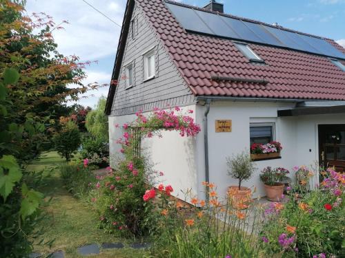 Freiberg Sud Apartment | Ferienwohnung Seilerberg