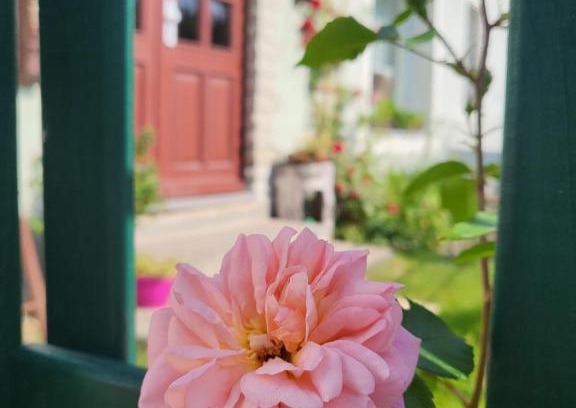 Cunnersdorf Apartment | Ferienwohnung Simmert