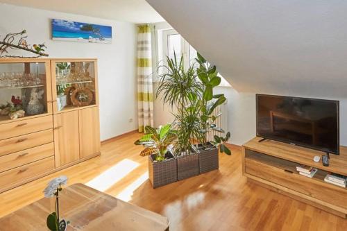 Andernach Apartment | Ferienwohnung Sonya