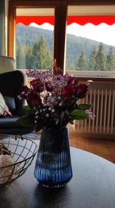 Obertal Apartment | Ferienwohnung Tannenballett im Schwarzwald