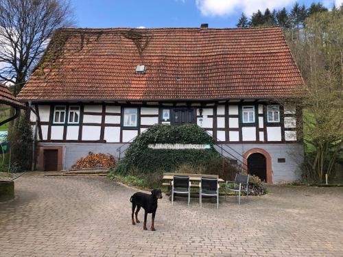 Mossautal House | Ferienwohnungen Hanst