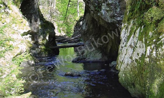 Waldshut-Tiengen House | FeWo Bukowina