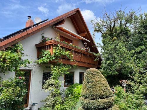 Freital Apartment | Fewo Judith
