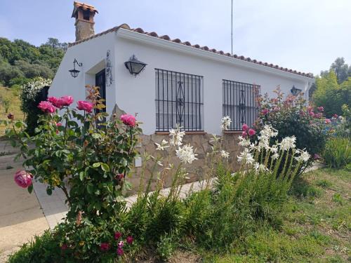 Los Marines House | Finca del Abu
