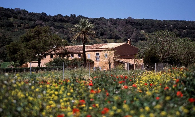Manacor Hotel | Finca Es Mayolet