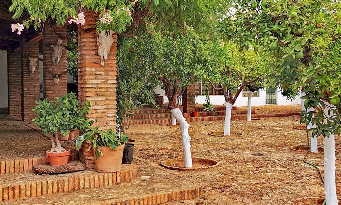 Hornachuelos House | " Finca La Fuensanta "