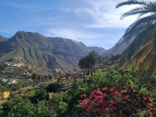 Valle Gran Rey House | Finca La Ladera