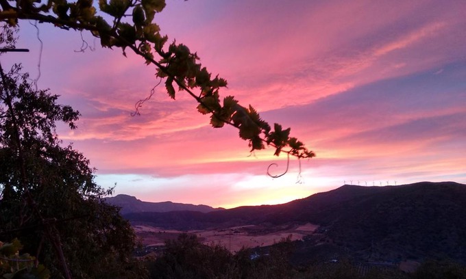 Alora House | Finca La Piedra Holidays
