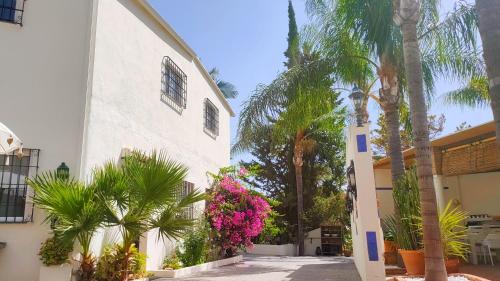 Benalmadena Apartment | Finca La Vida Loca- For adult guests