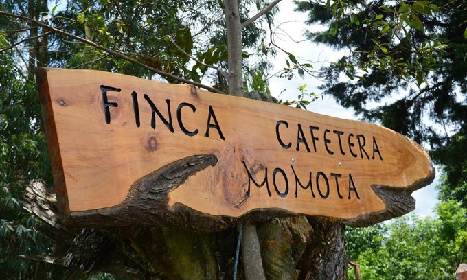 Salento Hotel | Finca Momota Salento