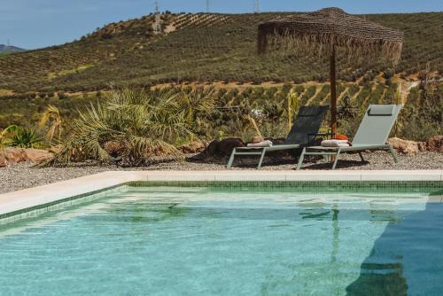 Alora Bed & Breakfast | Finca Viva la Vida
