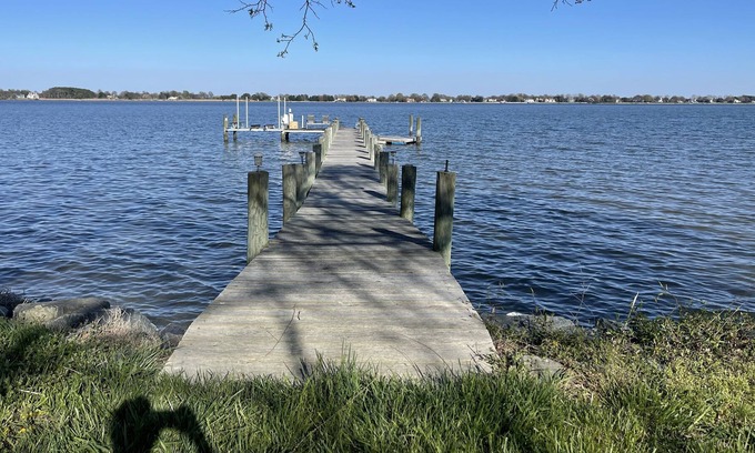 Stevensville House | Fish to the Left of Me, Geese to the right, Stuck in the middle w/ Goats