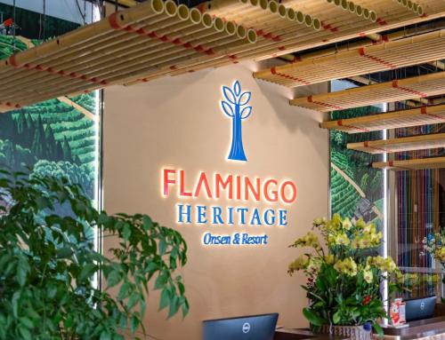 Son Duong Resort | Flamingo Heritage Onsen & Resort