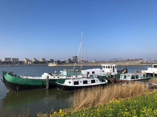 Amsterdam North Bed & Breakfast | Floating B&B Amsterdam