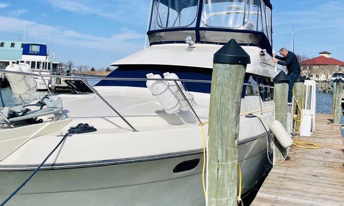 Stevensville Boat Rental | Floating condo with private beach, on the bay