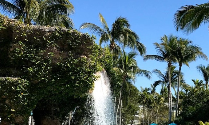 Estero Condo | Florida Hyatt Coconut Cove resort n2 Bedroom