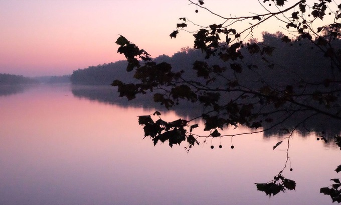 Lottie Cabin | Flying Alligator Riverside Hideaway