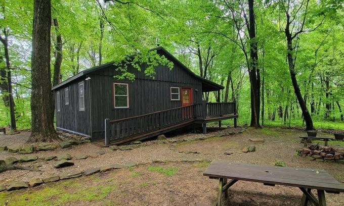 Bladensburg Cabin | Forest Cabin #1 at Camp Because I Said I Would