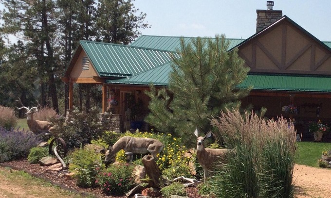 Woodland Park Apartment | Forest Estate Guest Quarters-Seclusion- Just Minutes from Town
