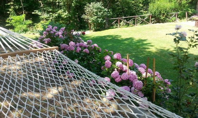 Gavi Bed & Breakfast | Forest View B&B