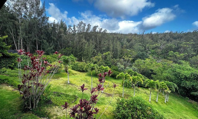 Pupukea House | Forest Views, Acreage, Fruit Trees, Beach~5m drive
