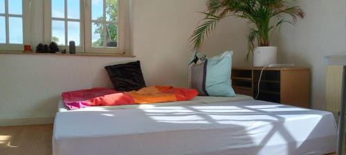 Fernesiechen Apartment | Forrest Apartments in Freiberg Min stay 2 nights Max Number of Guest 1 Aprt 1