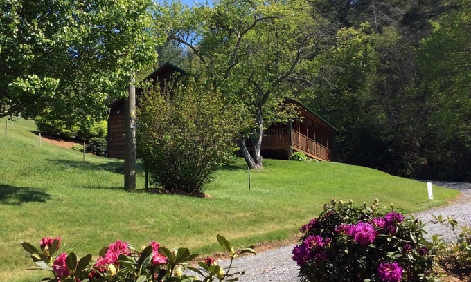 Boone Cabin | Frances' Cabin 6 minutes to Downtown Immaculately Kept