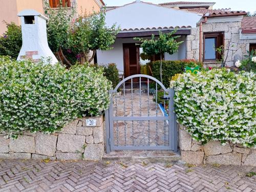 Tanaunella House | Frank's Home