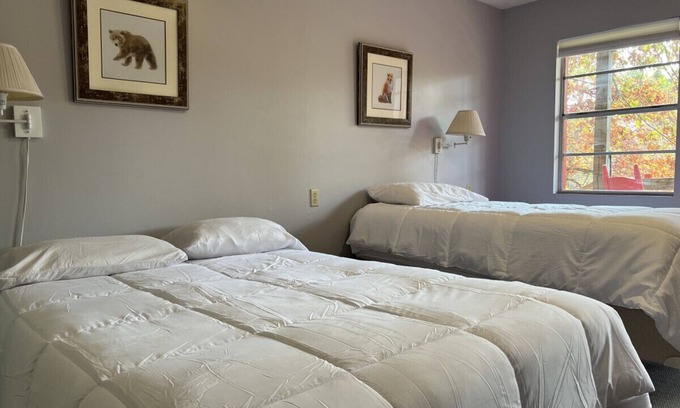 Waynesboro Hotel | Frontier Hideaway Room 33