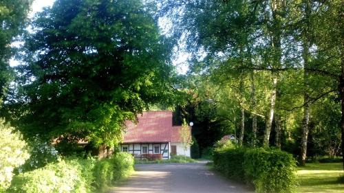 Erkerode Apartment | Fuchsrevier Fox District Apartment
