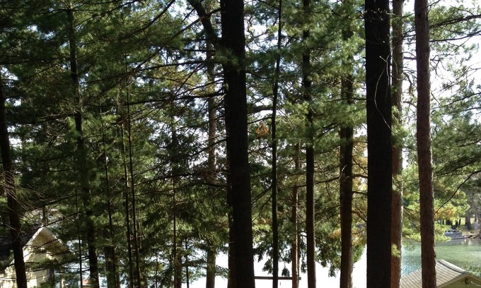 Waupaca Cottage | Fully remodeled cottage on Waupaca Chain O' Lakes - Limekiln Lake