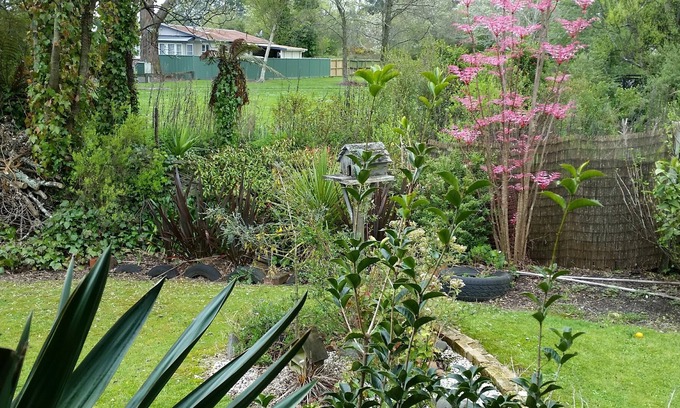 Kawaha Point House | Fully stocked comfy 2 bedroom cottage close to top attractions.