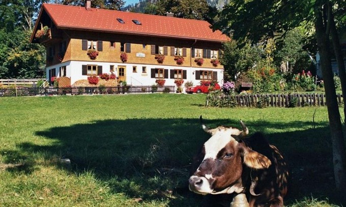 Bad Oberdorf Apartment | Gästehaus Hedwig