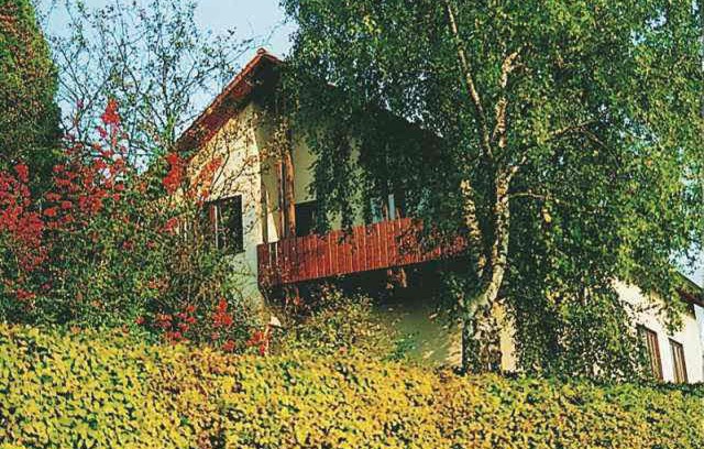Merzig Apartment | Gästehaus Heintz