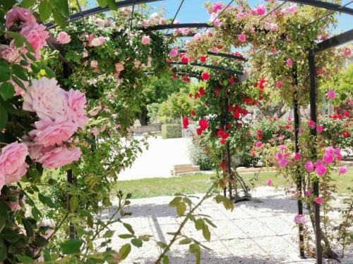 Modene House | Gîte en Provence Lavande