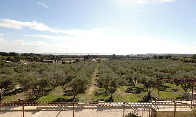 Mireval House | Gîte Lavande - Les Terrasses de l'Oliveraie