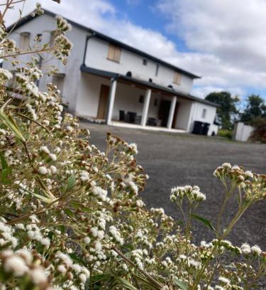 Saint-Paul Bed & Breakfast | Gîte LEUCALYPTUS
