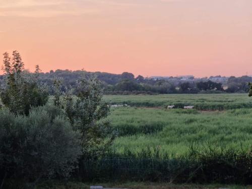 Villeneuve-les-Maguelone Apartment | Gîtes de l'Estagnol