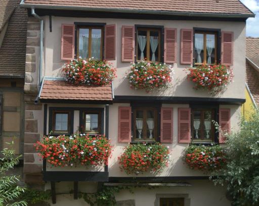 Kaysersberg-Vignoble House | Gîtes Du Stekala