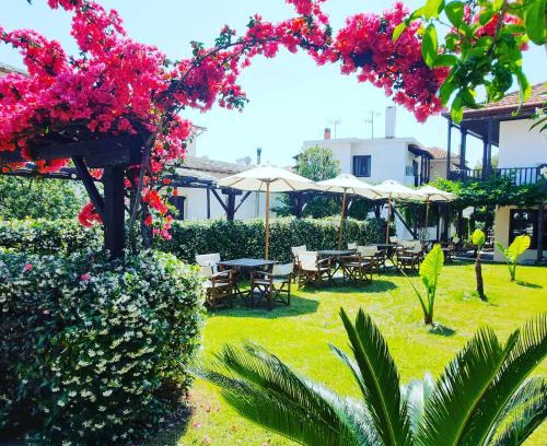 Agios Ioannis Hotel | Galini Hotel Agios Ioannis Pelion
