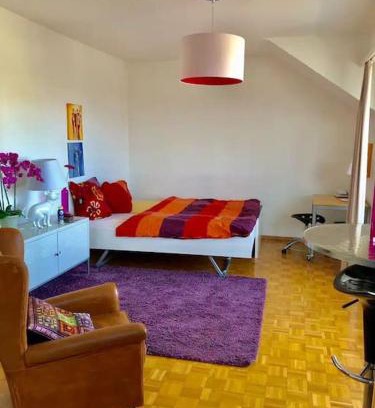 Basel City Centre Apartment | Ganze Wohnung mit Balkon,schöne Aussicht,Küche,Bad,Wifi