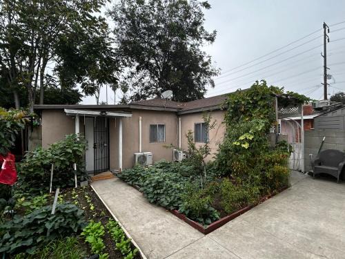 El Monte House | garden with Iron Gate, East Los Angeles 2b2b