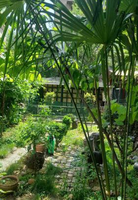 Vake House | Gardens in Vake, Tbilisi