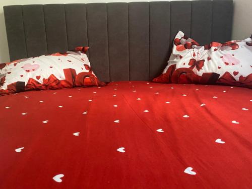 Slatina Apartment | Garsonieră stil hotel