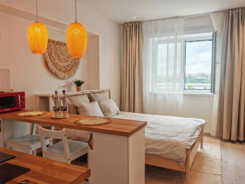 Sector 4 Apartment | Garsoniera Rin Grand