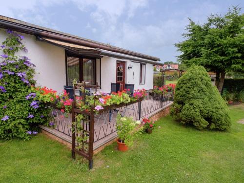 Hasselfelde House | Gartenwohnung in Hasselfelde